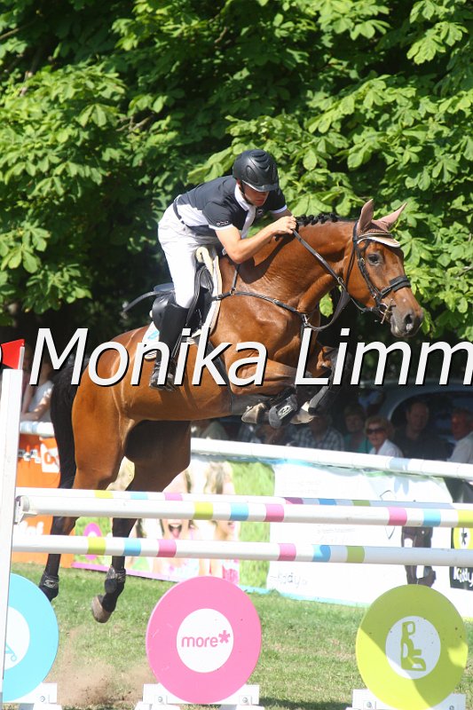 308M3713_Jamaica Sun_Springpferde Mx.JPG